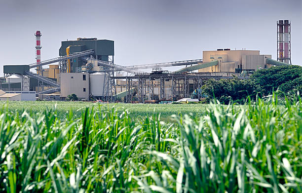 Complete Sugar Factory ERP Solution